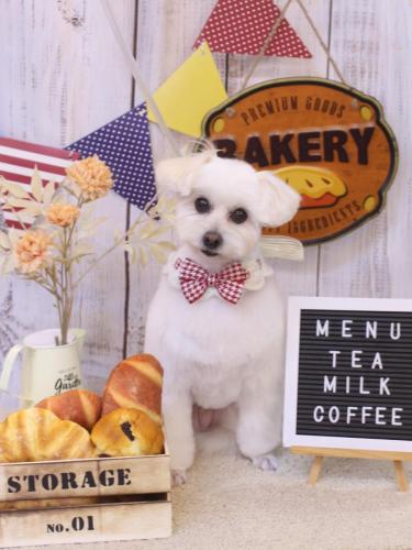 20240928うみちゃん